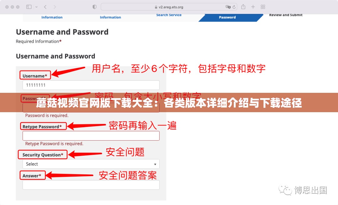 蘑菇视频官网版下载大全：各类版本详细介绍与下载途径