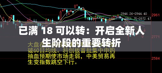 已满 18 可以转：开启全新人生阶段的重要转折