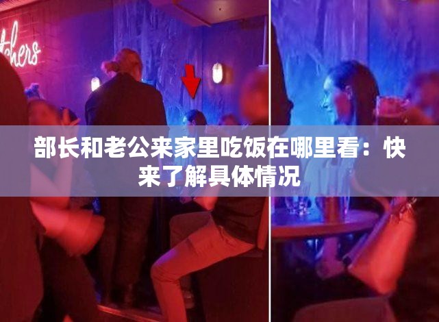部长和老公来家里吃饭在哪里看：快来了解具体情况