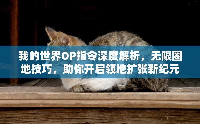 我的世界OP指令深度解析，无限圈地技巧，助你开启领地扩张新纪元