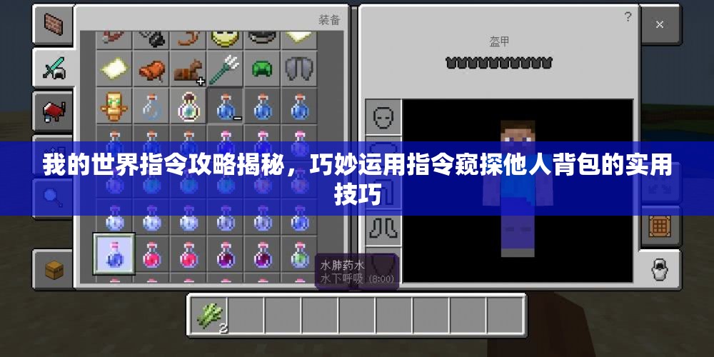 我的世界指令攻略揭秘，巧妙运用指令窥探他人背包的实用技巧