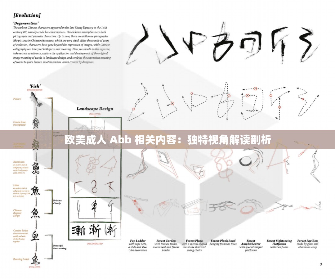 欧美成人 Abb 相关内容：独特视角解读剖析