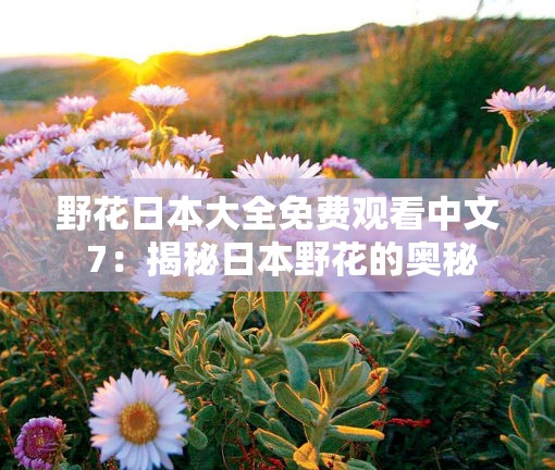 野花日本大全免费观看中文 7：揭秘日本野花的奥秘