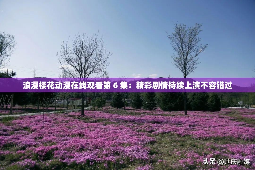 浪漫樱花动漫在线观看第 6 集：精彩剧情持续上演不容错过