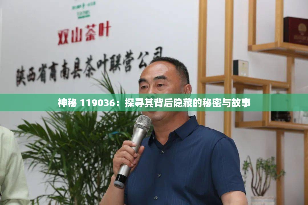 神秘 119036：探寻其背后隐藏的秘密与故事