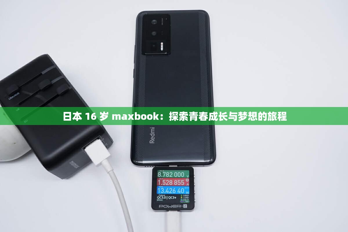 日本 16 岁 maxbook：探索青春成长与梦想的旅程