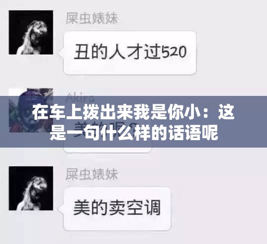 在车上拨出来我是你小：这是一句什么样的话语呢