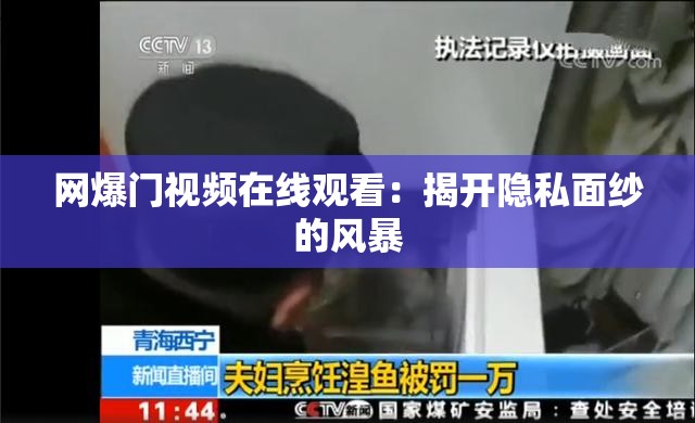 网爆门视频在线观看：揭开隐私面纱的风暴
