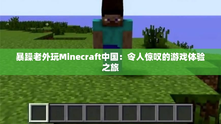 暴躁老外玩Minecraft中国：令人惊叹的游戏体验之旅