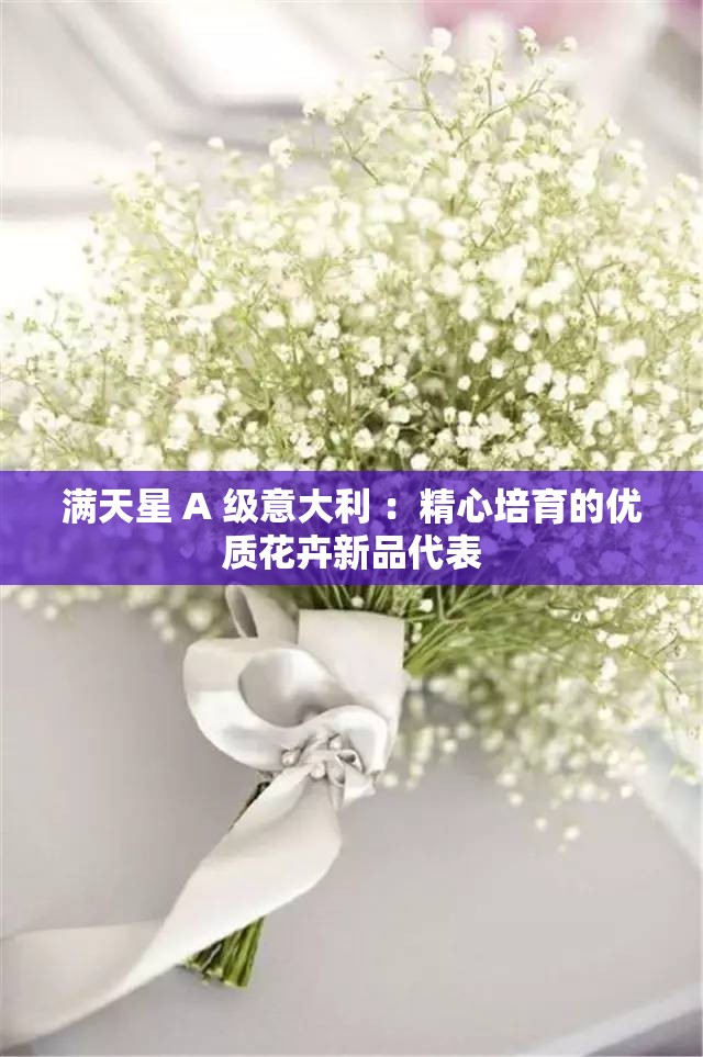 满天星 A 级意大利 ：精心培育的优质花卉新品代表