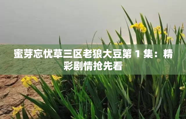 蜜芽忘忧草三区老狼大豆第 1 集：精彩剧情抢先看