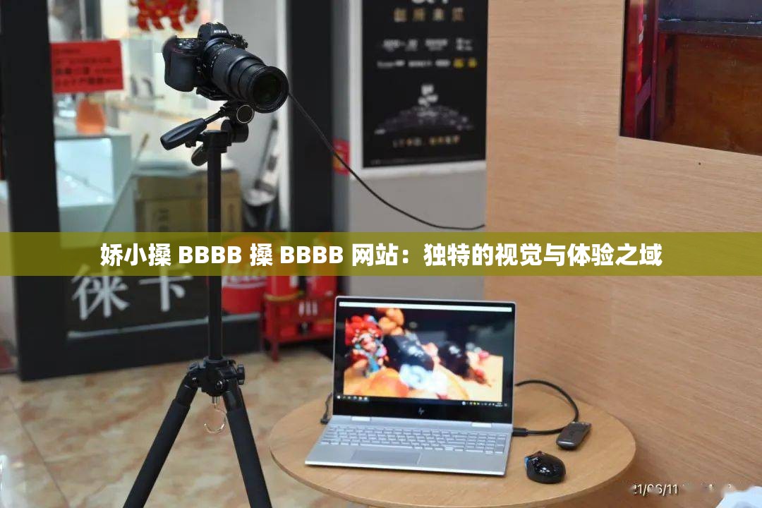 娇小搡 BBBB 搡 BBBB 网站：独特的视觉与体验之域