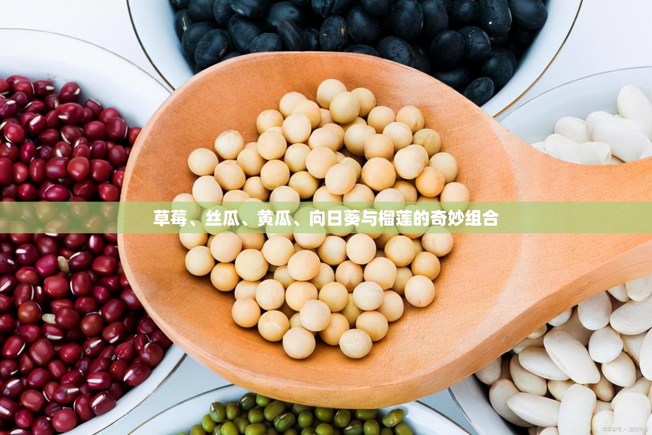 草莓、丝瓜、黄瓜、向日葵与榴莲的奇妙组合
