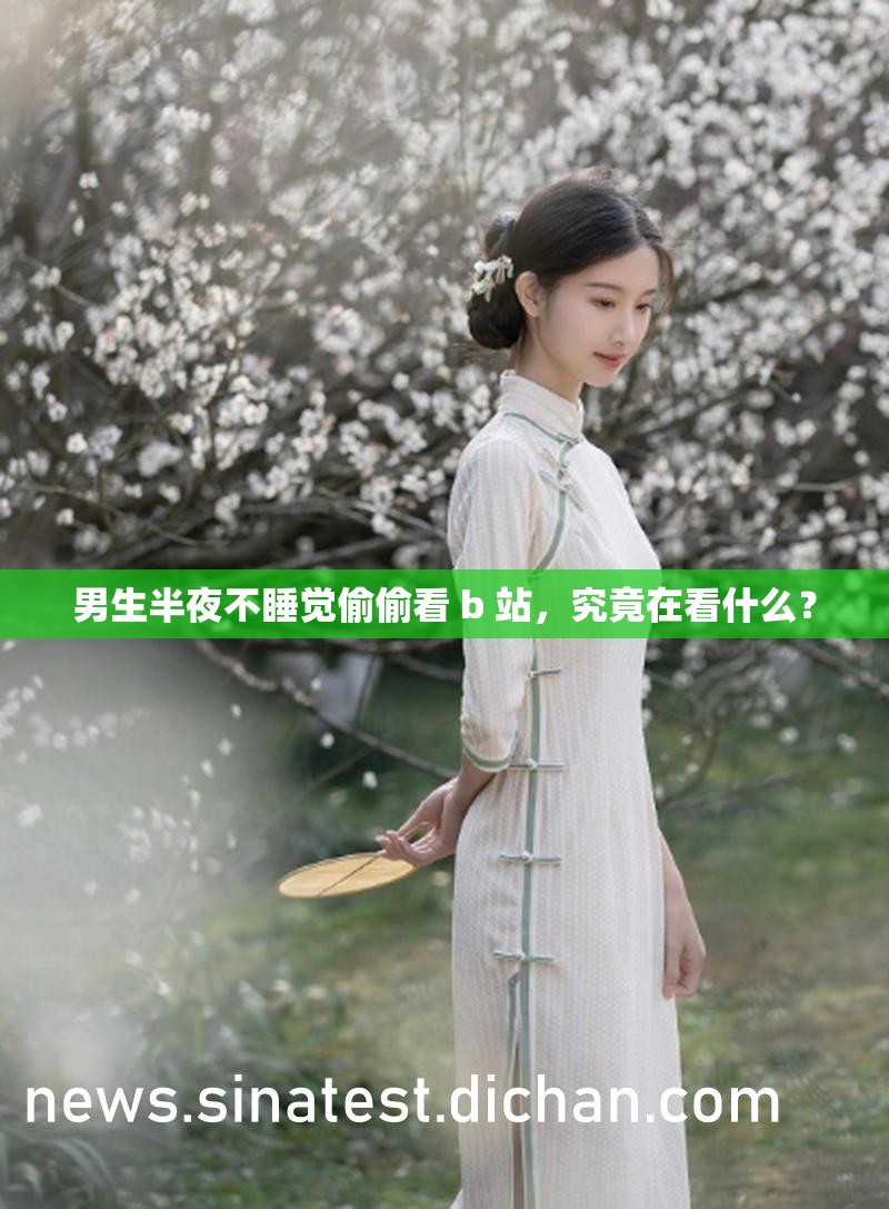 男生半夜不睡觉偷偷看 b 站，究竟在看什么？