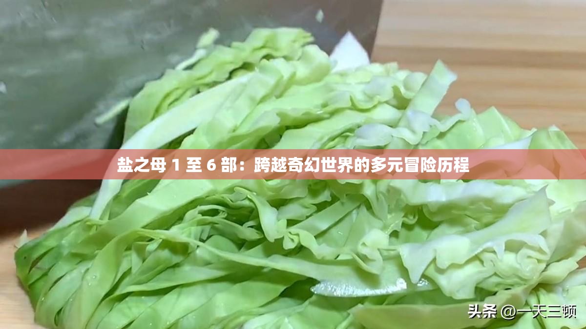 盐之母 1 至 6 部：跨越奇幻世界的多元冒险历程