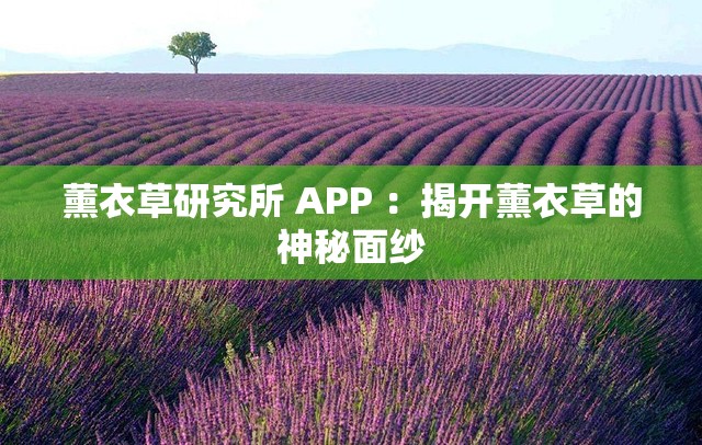 薰衣草研究所 APP ：揭开薰衣草的神秘面纱
