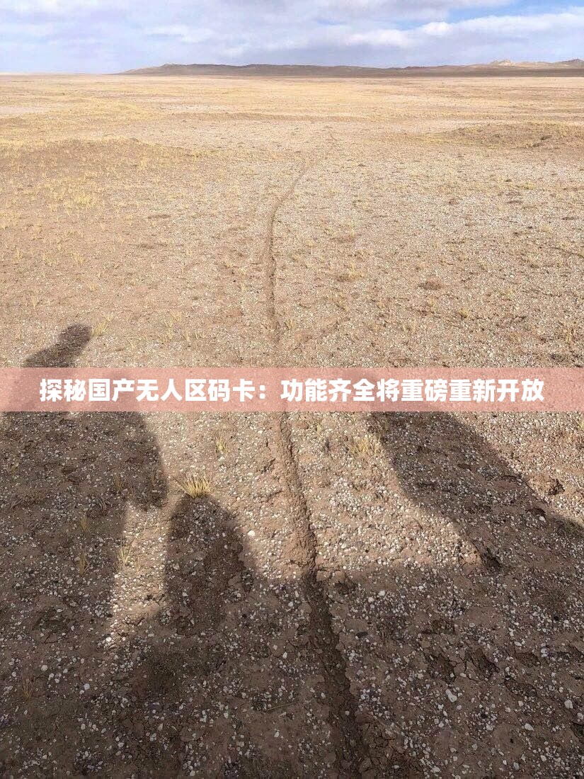 探秘国产无人区码卡：功能齐全将重磅重新开放