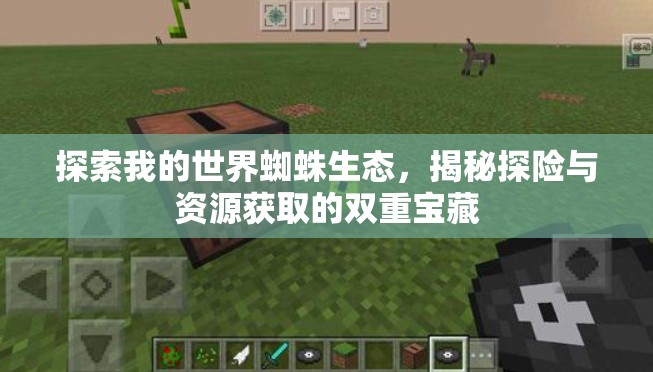 探索我的世界蜘蛛生态，揭秘探险与资源获取的双重宝藏