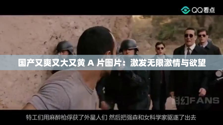 国产又爽又大又黄 A 片图片：激发无限激情与欲望