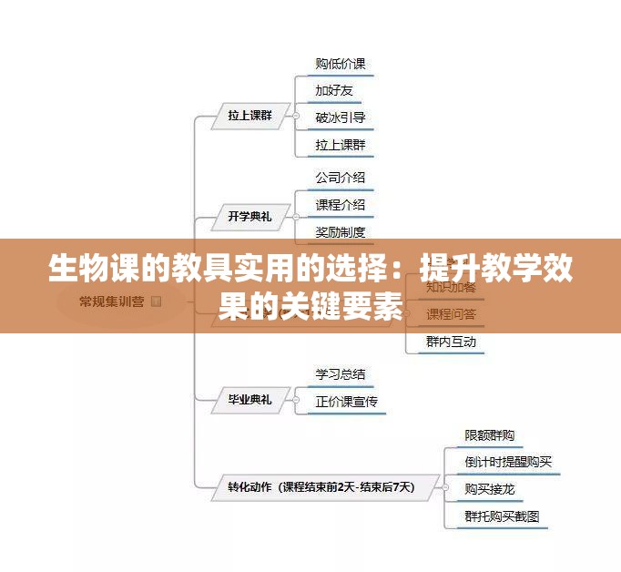 生物课的教具实用的选择：提升教学效果的关键要素