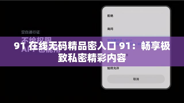 91 在线无码精品密入口 91：畅享极致私密精彩内容
