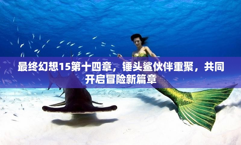 最终幻想15第十四章，锤头鲨伙伴重聚，共同开启冒险新篇章