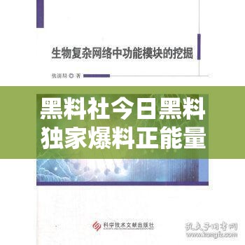 黑料社今日黑料独家爆料正能量之深度挖掘与全面解析