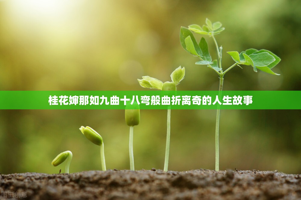 桂花婶那如九曲十八弯般曲折离奇的人生故事