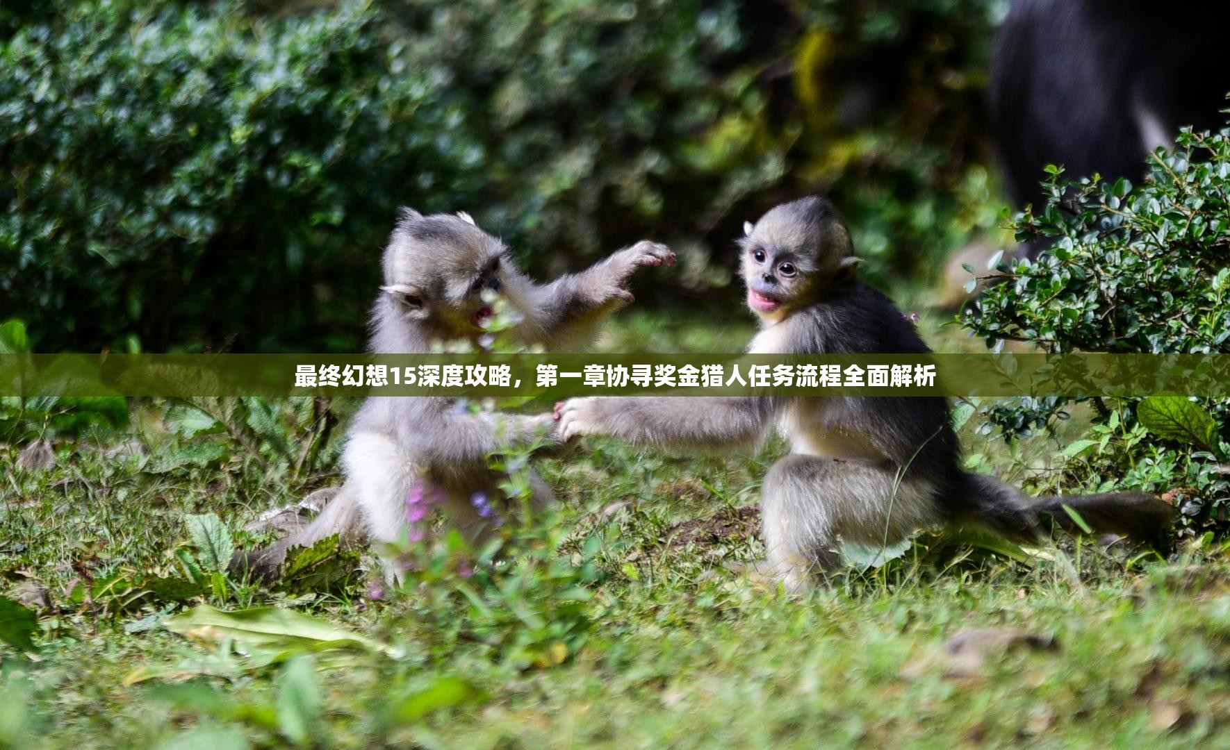 最终幻想15深度攻略，第一章协寻奖金猎人任务流程全面解析