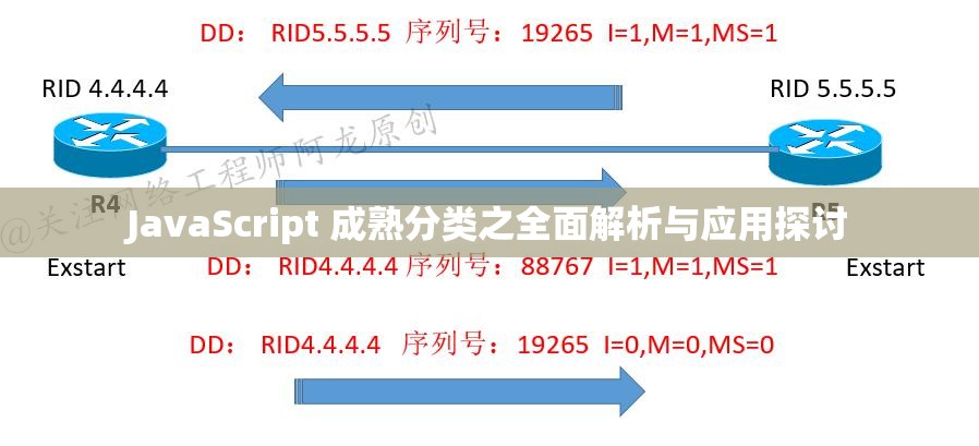 JavaScript 成熟分类之全面解析与应用探讨