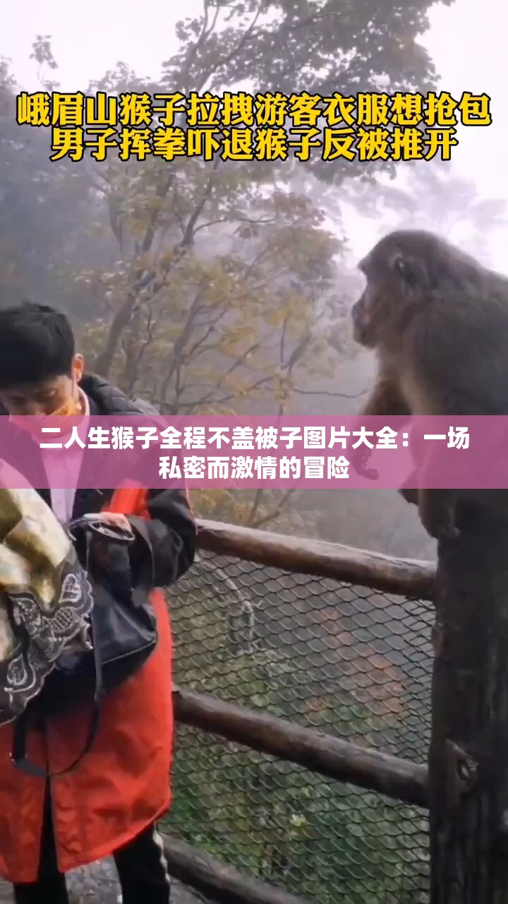 二人生猴子全程不盖被子图片大全：一场私密而激情的冒险