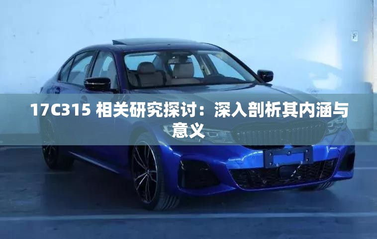 17C315 相关研究探讨：深入剖析其内涵与意义