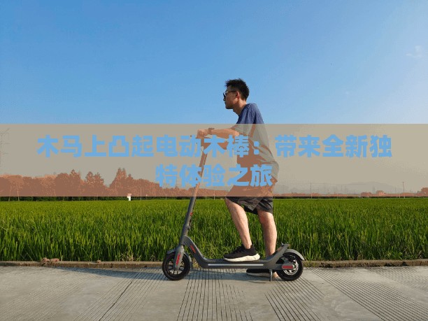 木马上凸起电动木棒：带来全新独特体验之旅