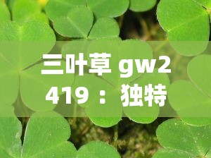 三叶草 gw2419 ：独特植物品种的特征与生长环境探秘