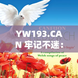 YW193.CAN 牢记不迷：永记心中不迷失方向