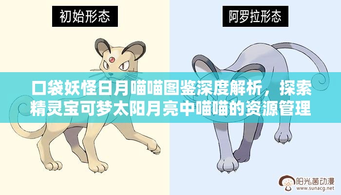 口袋妖怪日月喵喵图鉴深度解析，探索精灵宝可梦太阳月亮中喵喵的资源管理艺术