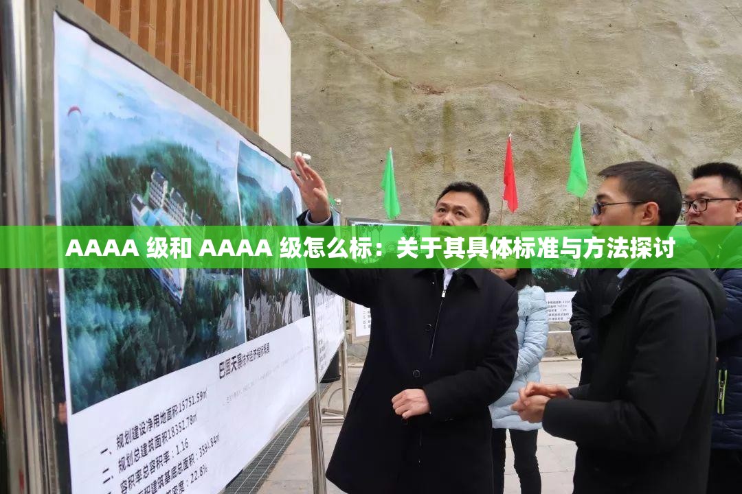 AAAA 级和 AAAA 级怎么标：关于其具体标准与方法探讨