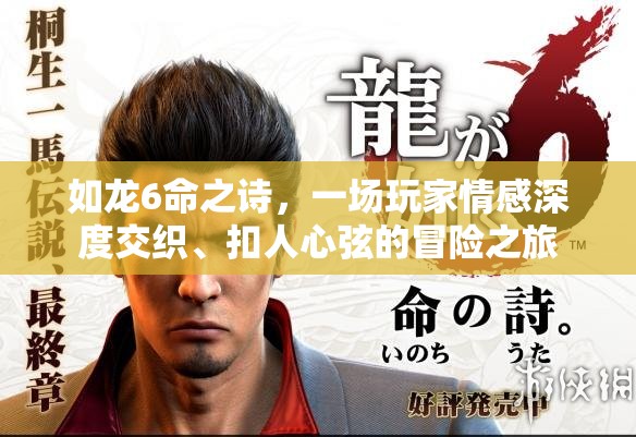 如龙6命之诗，一场玩家情感深度交织、扣人心弦的冒险之旅