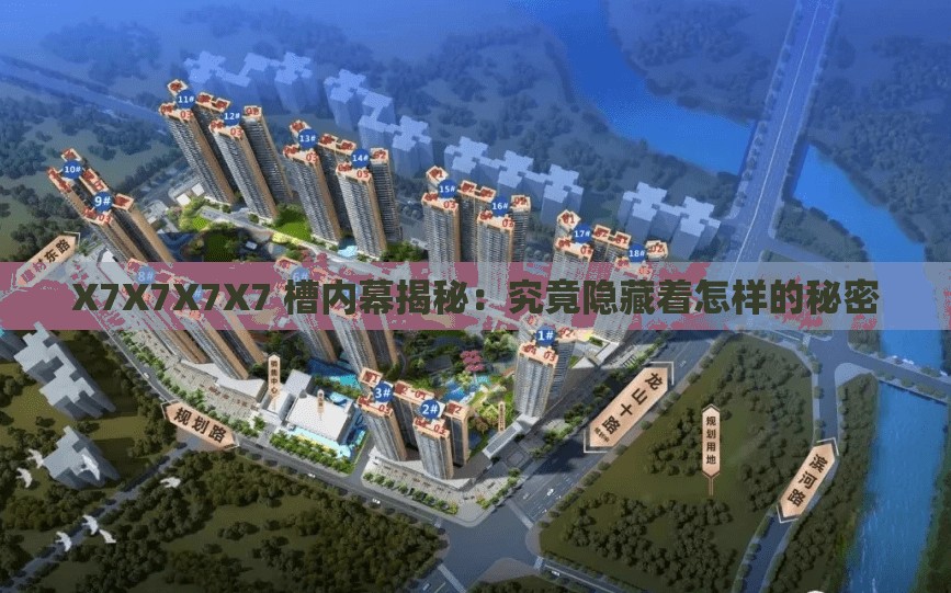 X7X7X7X7 槽内幕揭秘：究竟隐藏着怎样的秘密