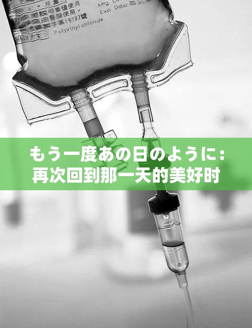 もう一度あの日のように：再次回到那一天的美好时光