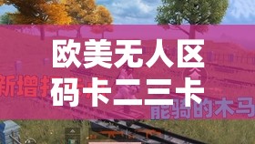 欧美无人区码卡二三卡探秘之旅