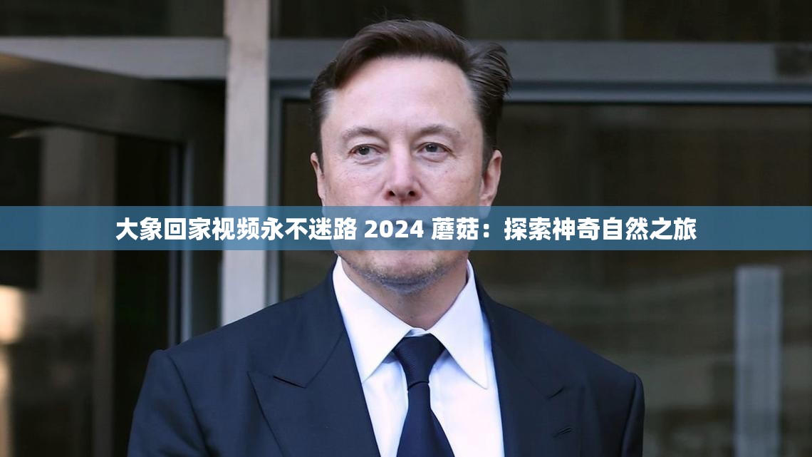 大象回家视频永不迷路 2024 蘑菇：探索神奇自然之旅