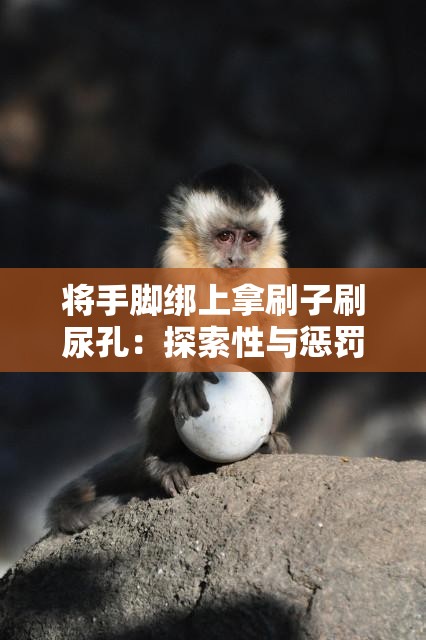 将手脚绑上拿刷子刷尿孔：探索性与惩罚的边界