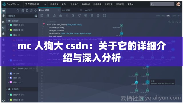 mc 人狗大 csdn：关于它的详细介绍与深入分析