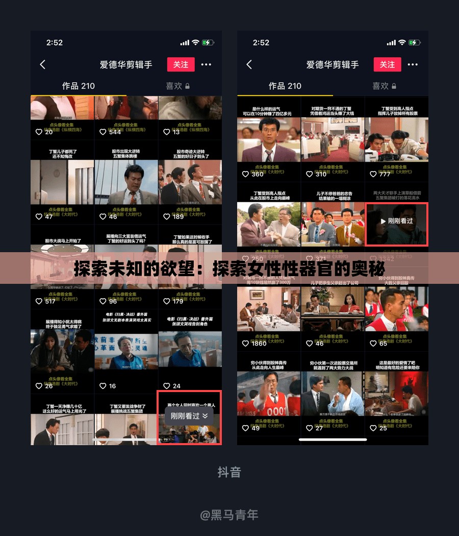 探索未知的欲望：探索女性性器官的奥秘