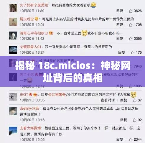 揭秘 18c.micios：神秘网址背后的真相