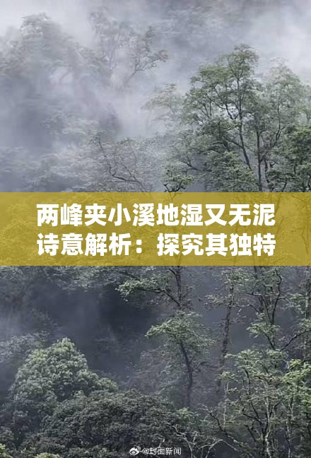 两峰夹小溪地湿又无泥诗意解析：探究其独特意境与内涵