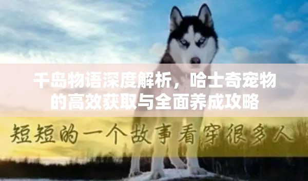 千岛物语深度解析，哈士奇宠物的高效获取与全面养成攻略