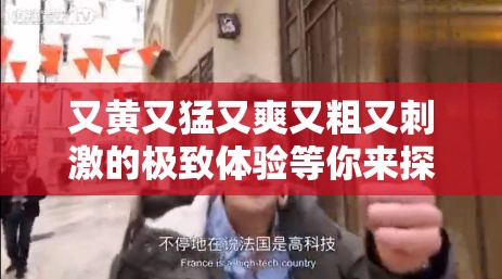 又黄又猛又爽又粗又刺激的极致体验等你来探索