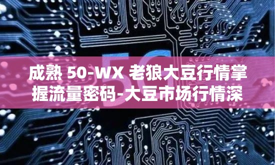 成熟 50-WX 老狼大豆行情掌握流量密码-大豆市场行情深度剖析与解读